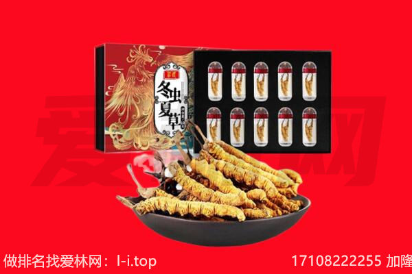 北镇市回收虫草.jpg